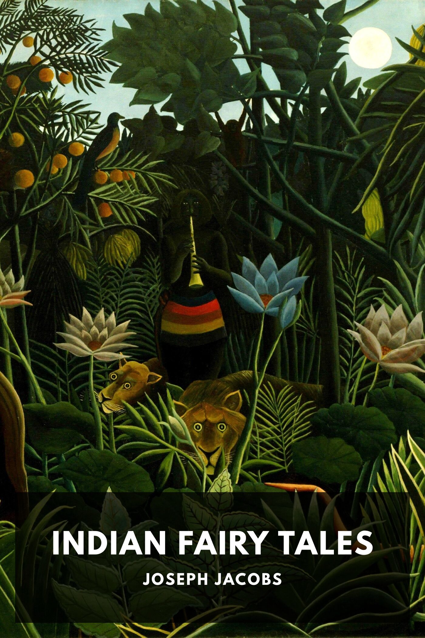 جلد کتاب Indian Fairy Tales