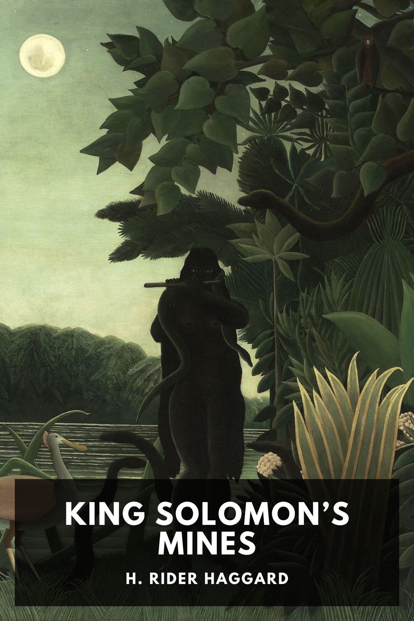 جلد کتاب King Solomon's Mines