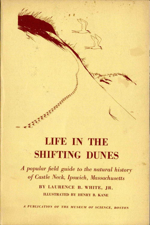 جلد کتاب Life in the Shifting Dunes