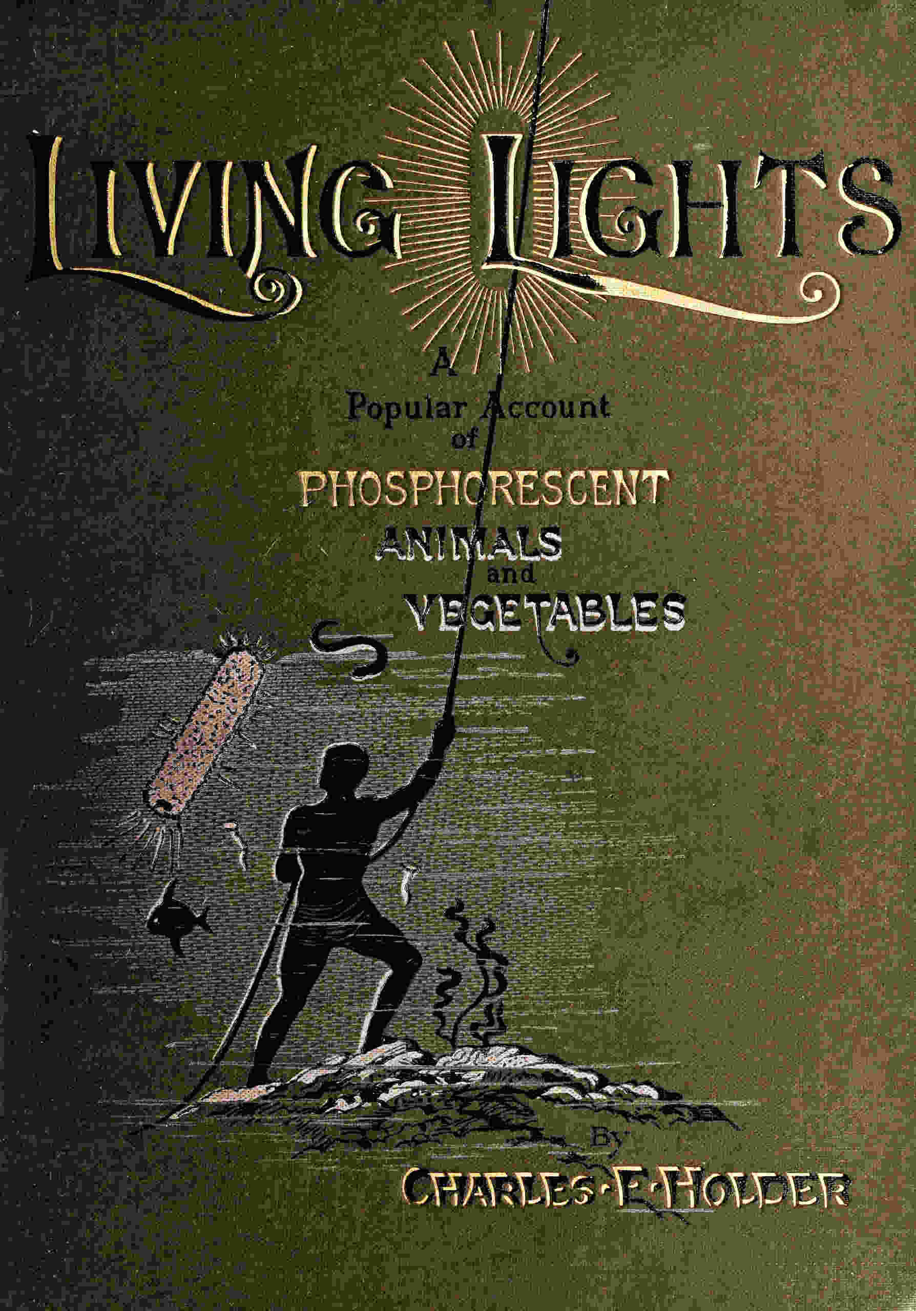 جلد کتاب Living Lights