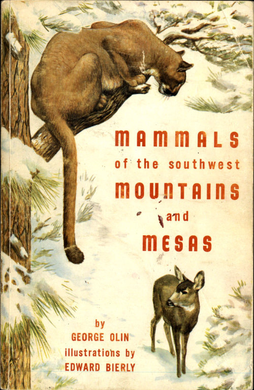 جلد کتاب Mammals of the Southwest Mountains and Mesas