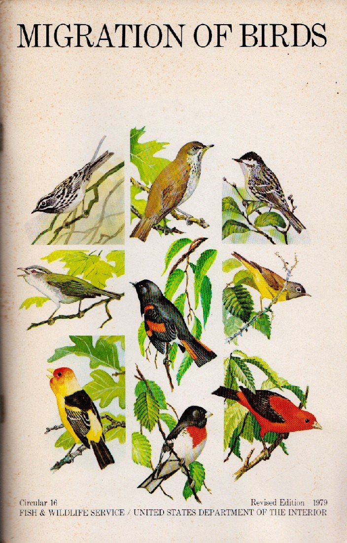 جلد کتاب Migration of Birds