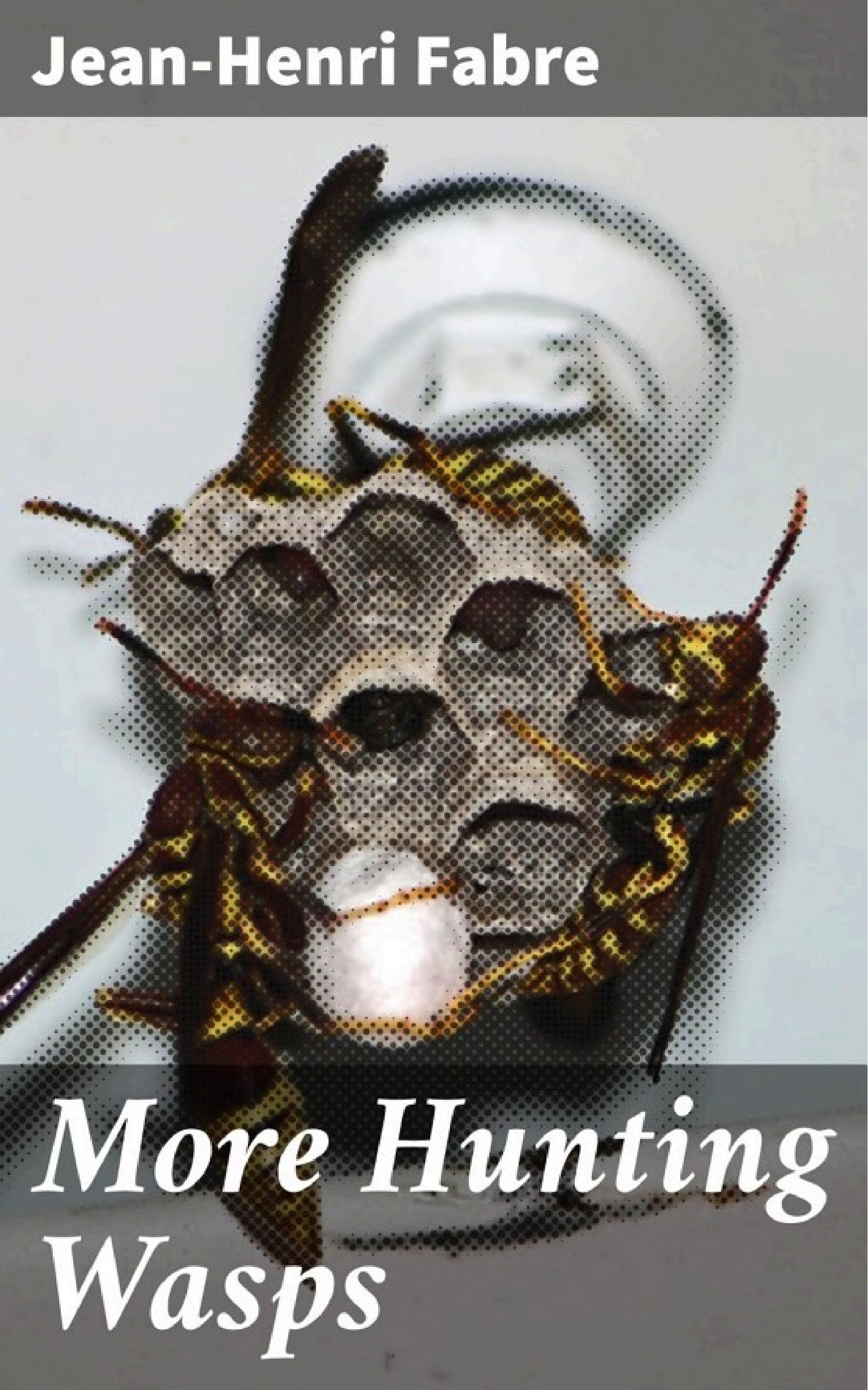 جلد کتاب More Hunting Wasps