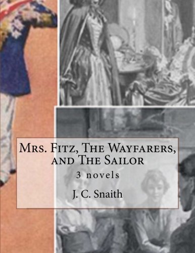 جلد کتاب Mrs. Fitz