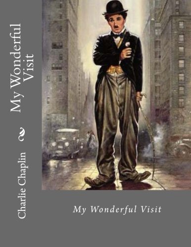 جلد کتاب My Wonderful Visit