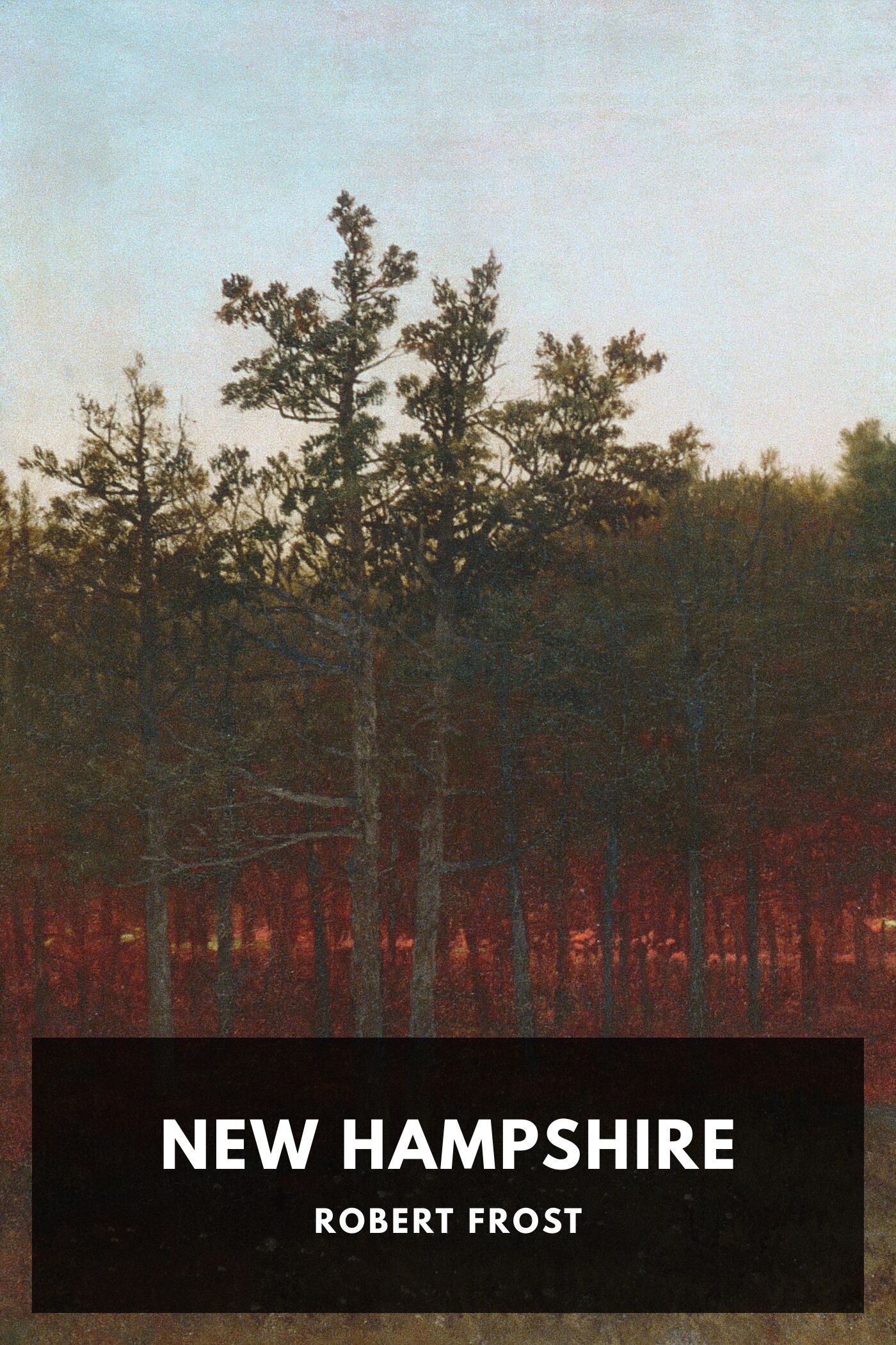 جلد کتاب New Hampshire, A Poem; with Notes and Grace Notes
