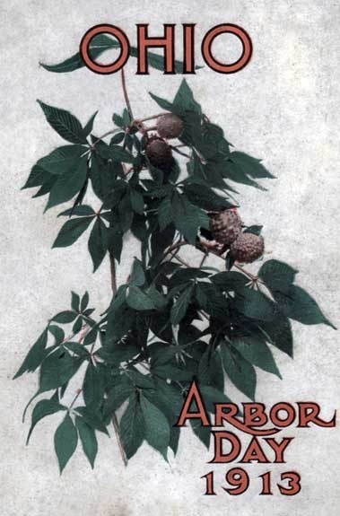 جلد کتاب Ohio Arbor Day 1913