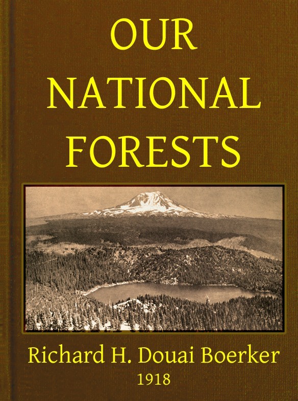 جلد کتاب Our National Forests