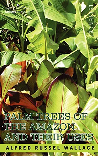 جلد کتاب Palm Trees of the Amazon and Their Uses