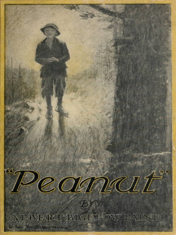 جلد کتاب "Peanut": The Story of a Boy