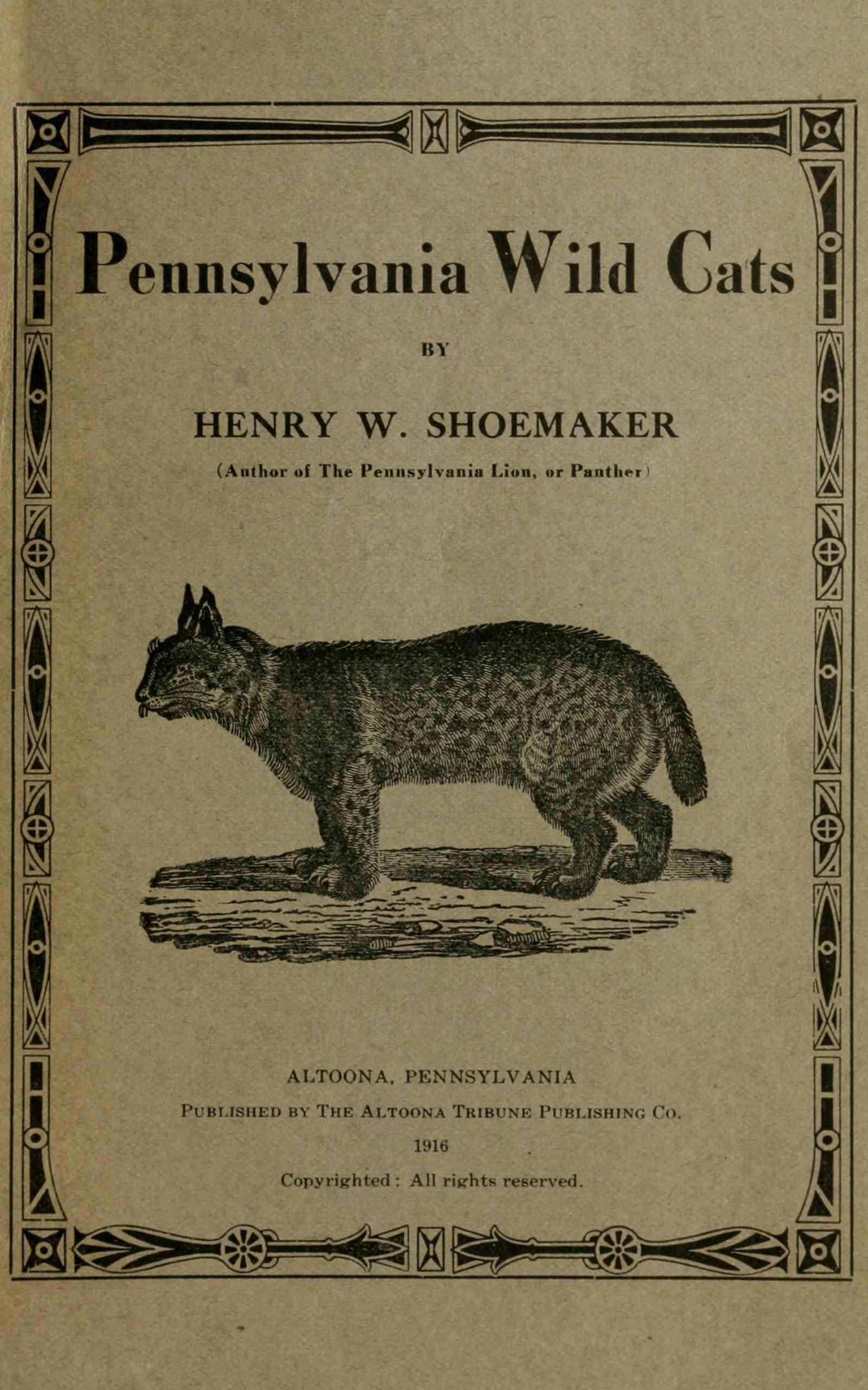جلد کتاب Pennsylvania wild cats