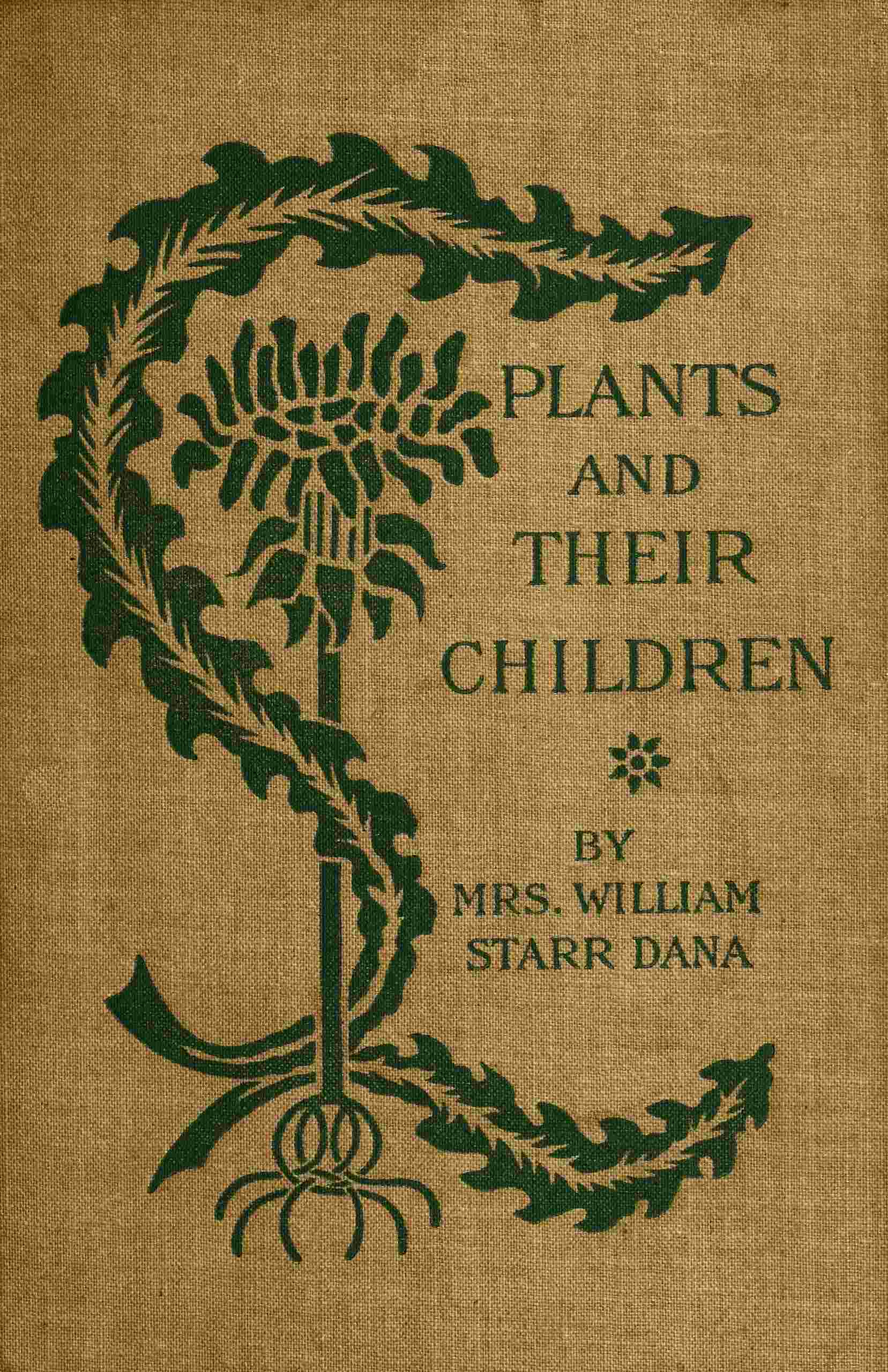 جلد کتاب Plants and Their Children