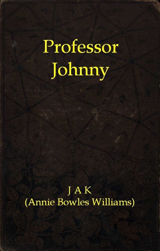 جلد کتاب Professor Johnny