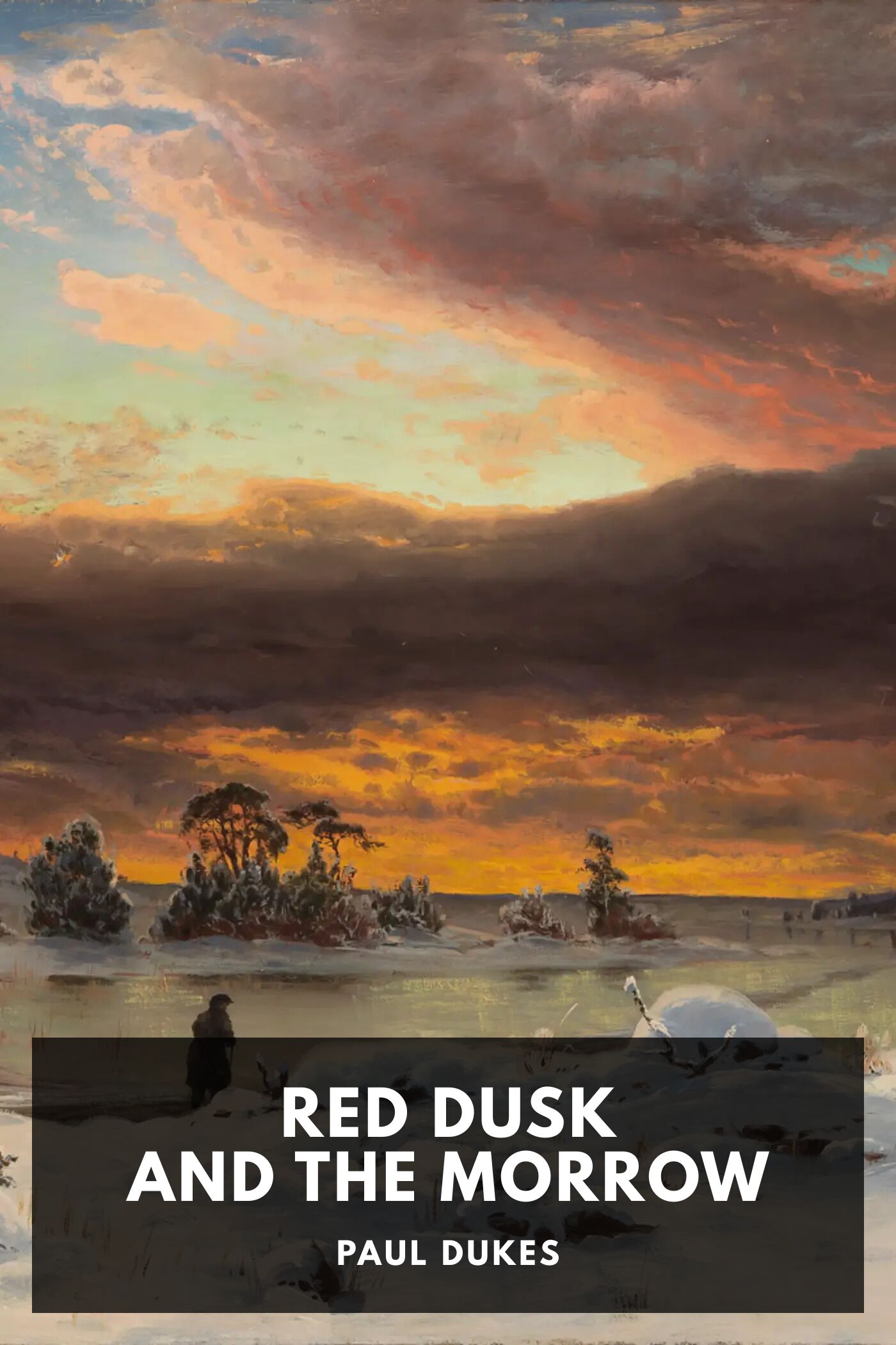 جلد کتاب Red Dusk and the Morrow: Adventures and Investigations in Red Russia