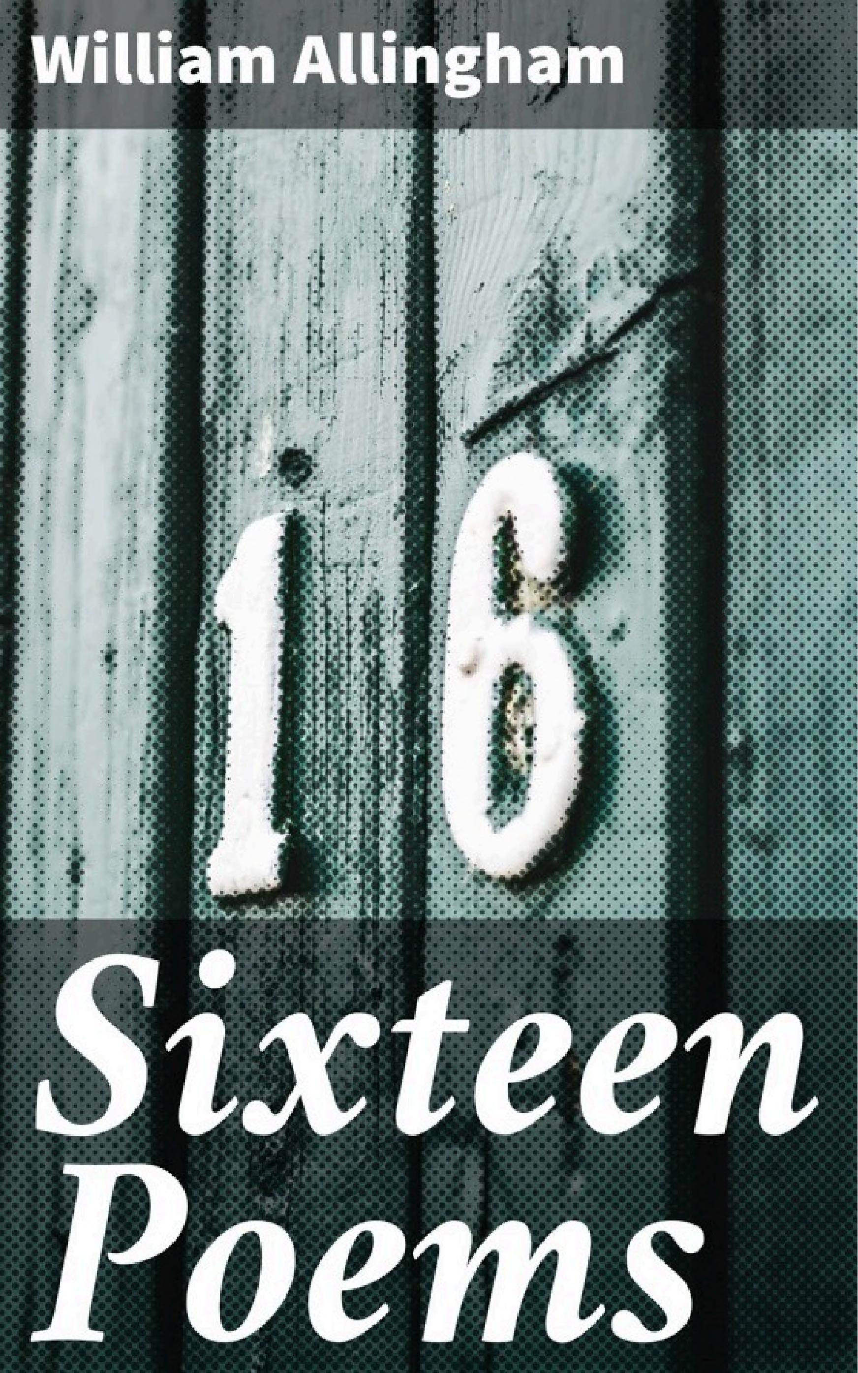 جلد کتاب Sixteen Poems