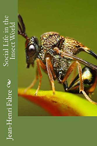 جلد کتاب Social Life in the Insect World