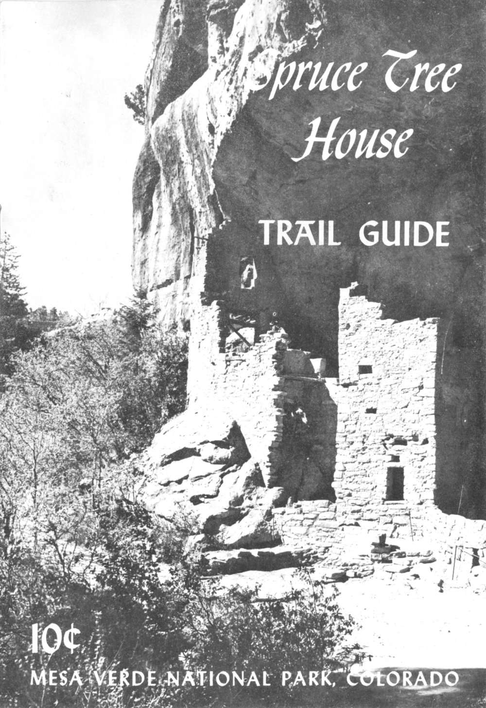 جلد کتاب Spruce Tree House Trail Guide