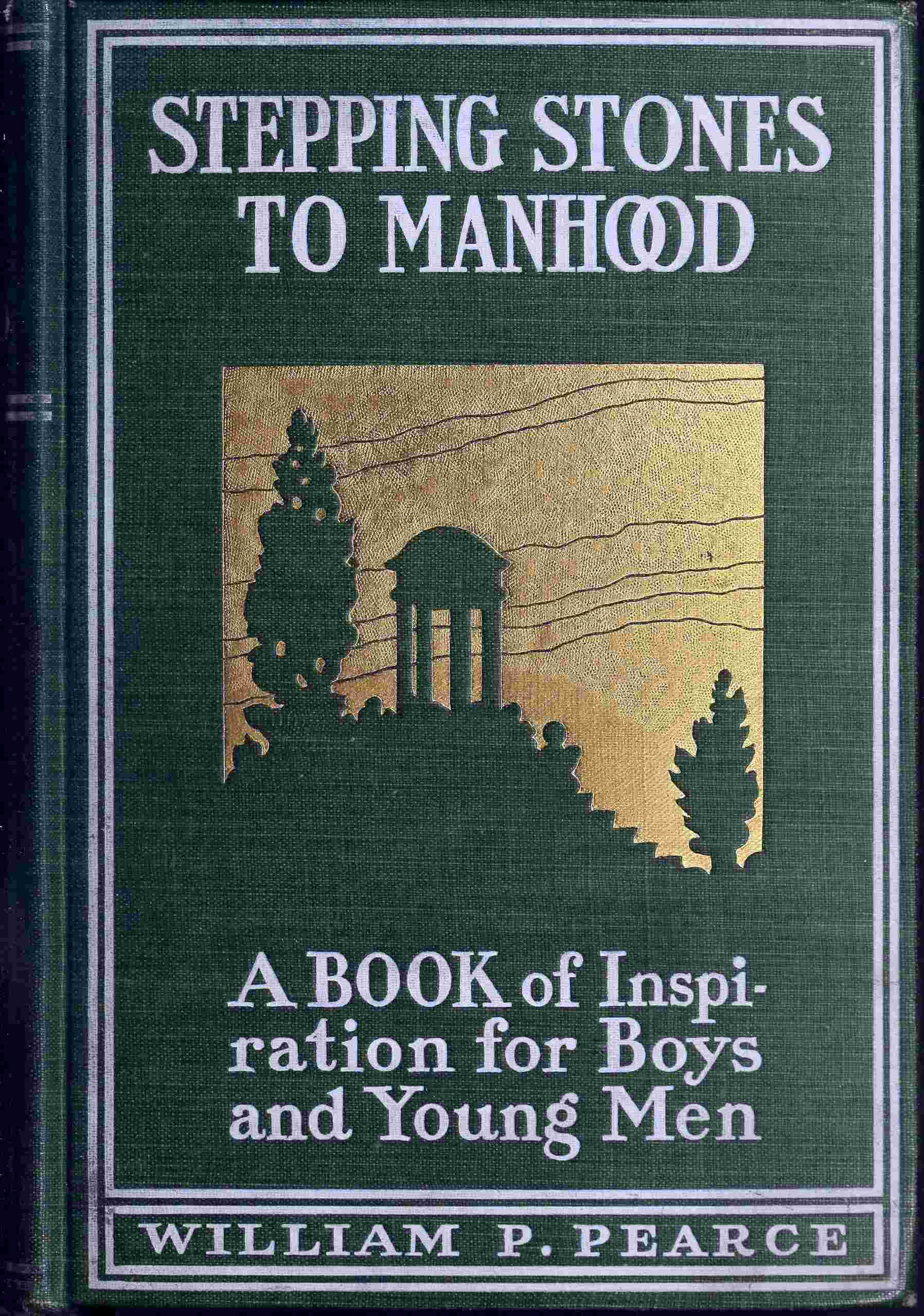 جلد کتاب Stepping Stones to Manhood