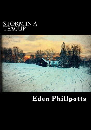 جلد کتاب Storm in a Teacup