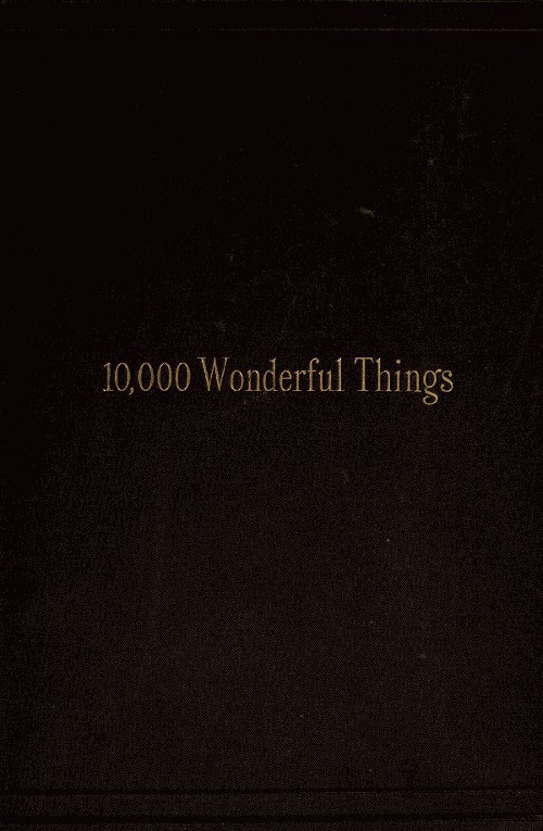 جلد کتاب Ten Thousand Wonderful Things