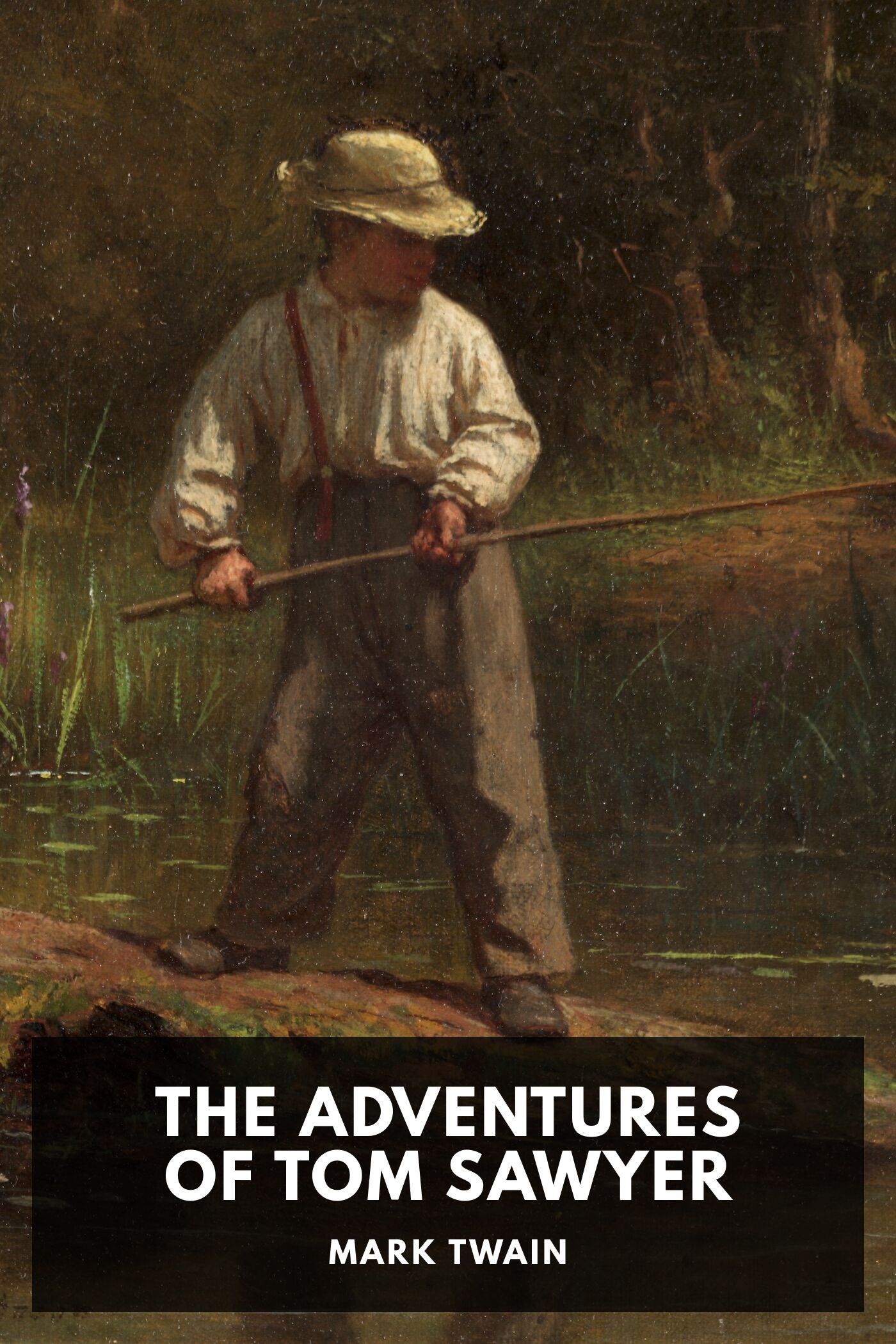 جلد کتاب The Adventures of Tom Sawyer