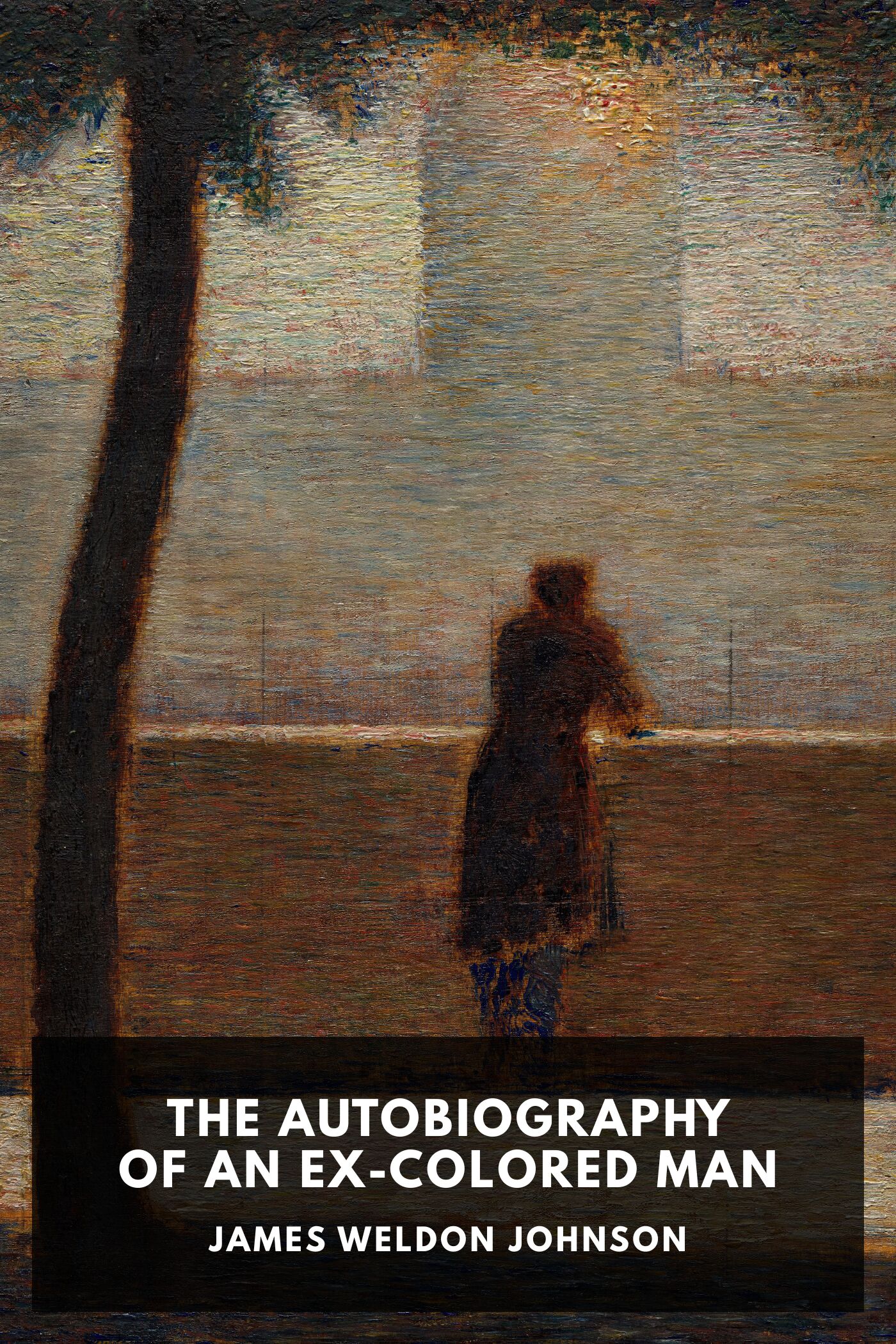 جلد کتاب The Autobiography of an Ex-Colored Man