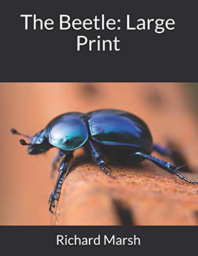 جلد کتاب The Beetle: A Mystery