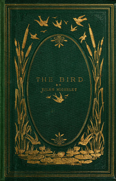 جلد کتاب The Bird