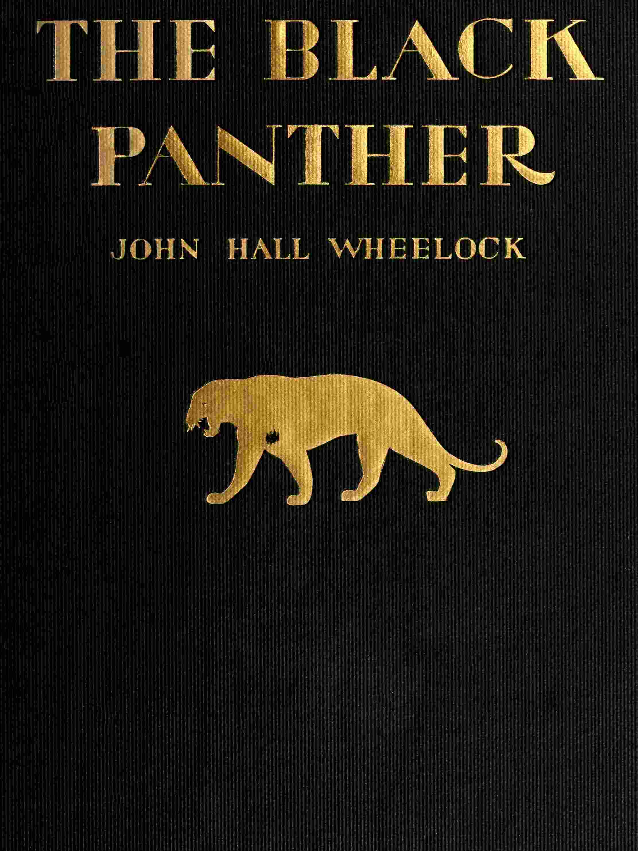 جلد کتاب The Black Panther: A Book of Poems
