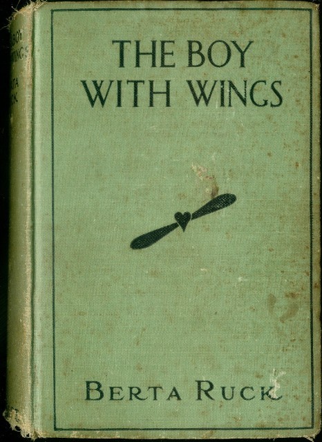 جلد کتاب The Boy with Wings