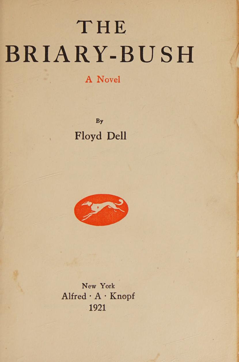 جلد کتاب The Briary Bush: A Novel