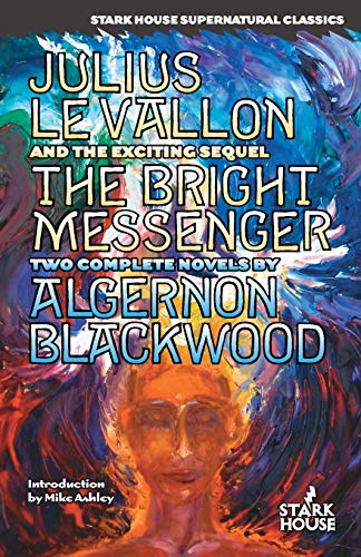 جلد کتاب The Bright Messenger