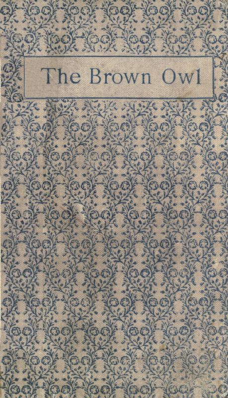 جلد کتاب The Brown Owl: A Fairy Story