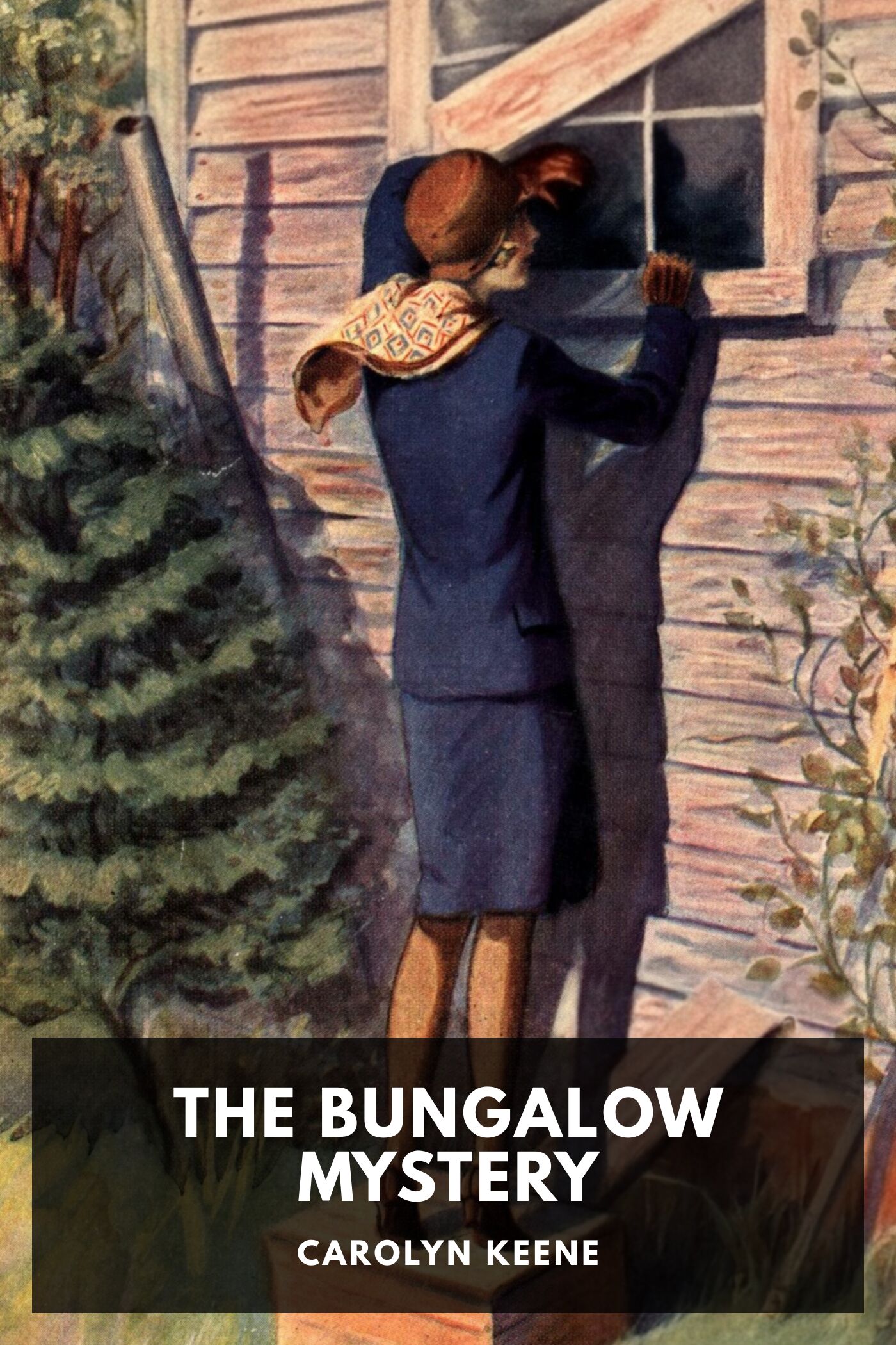 جلد کتاب The bungalow mystery