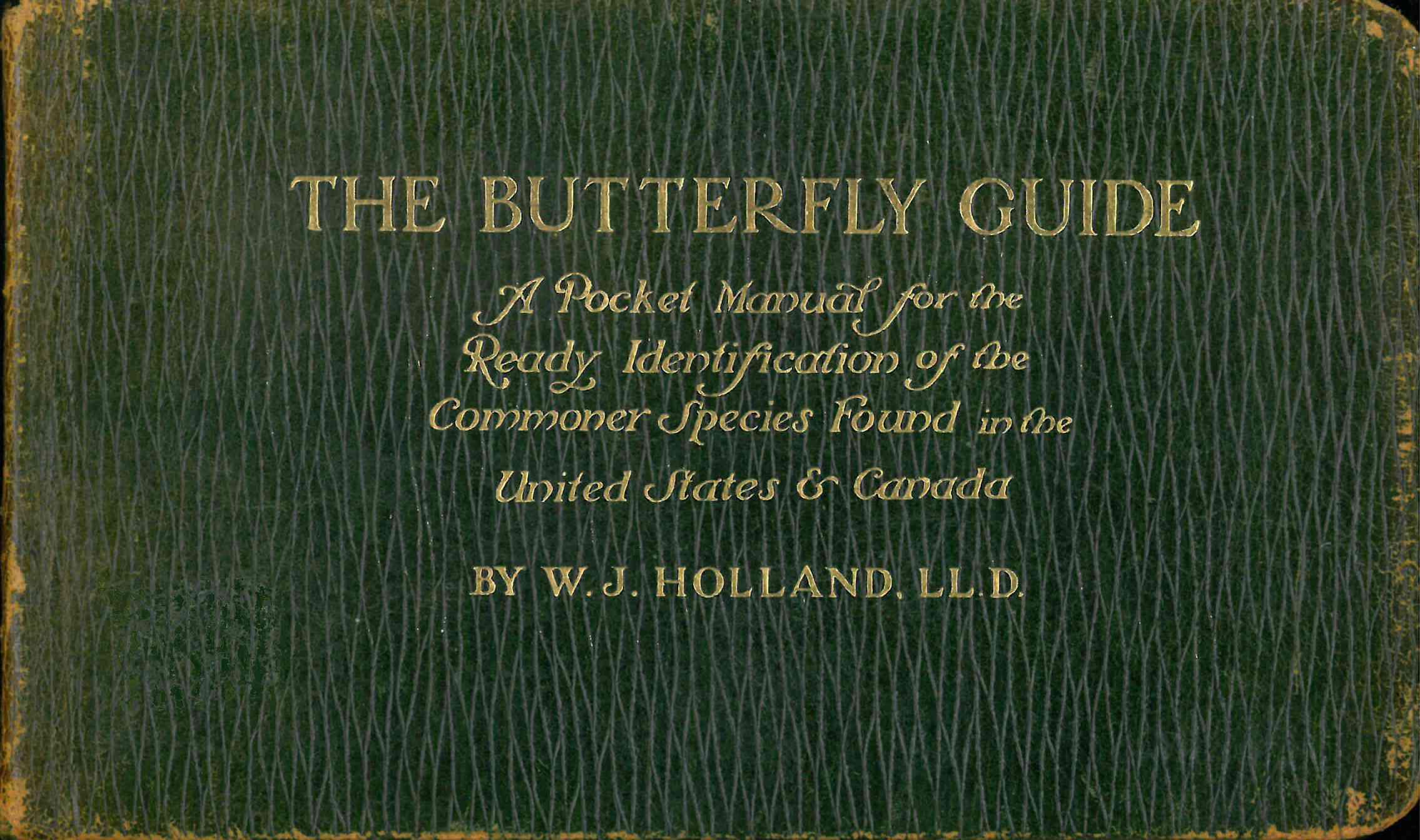 جلد کتاب The Butterfly Guide