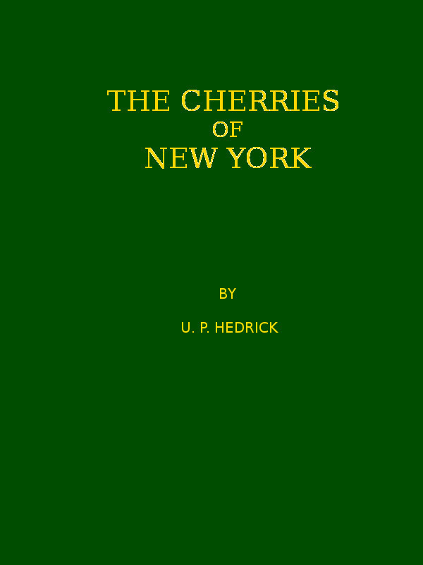 جلد کتاب The Cherries of New York