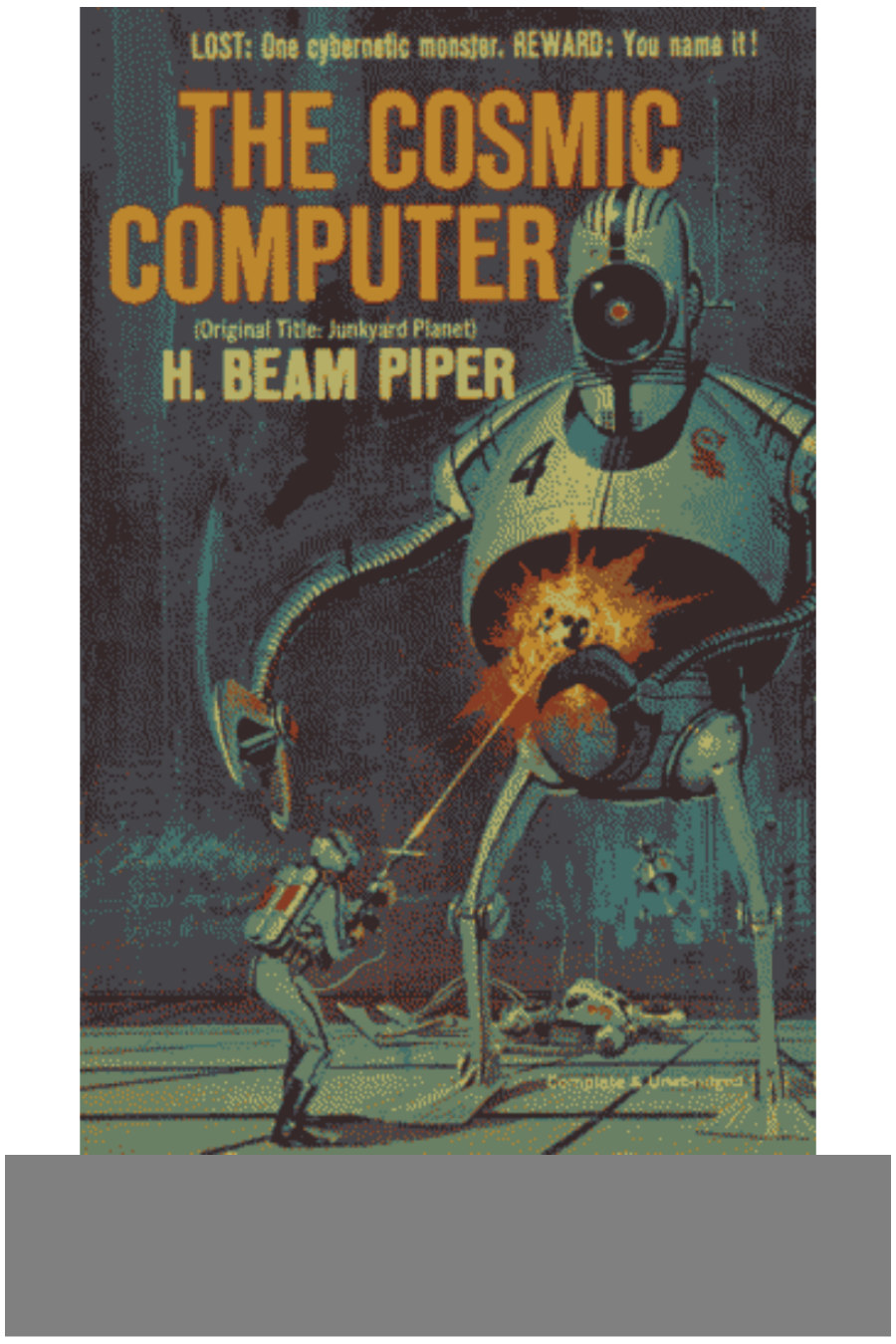جلد کتاب The Cosmic Computer
