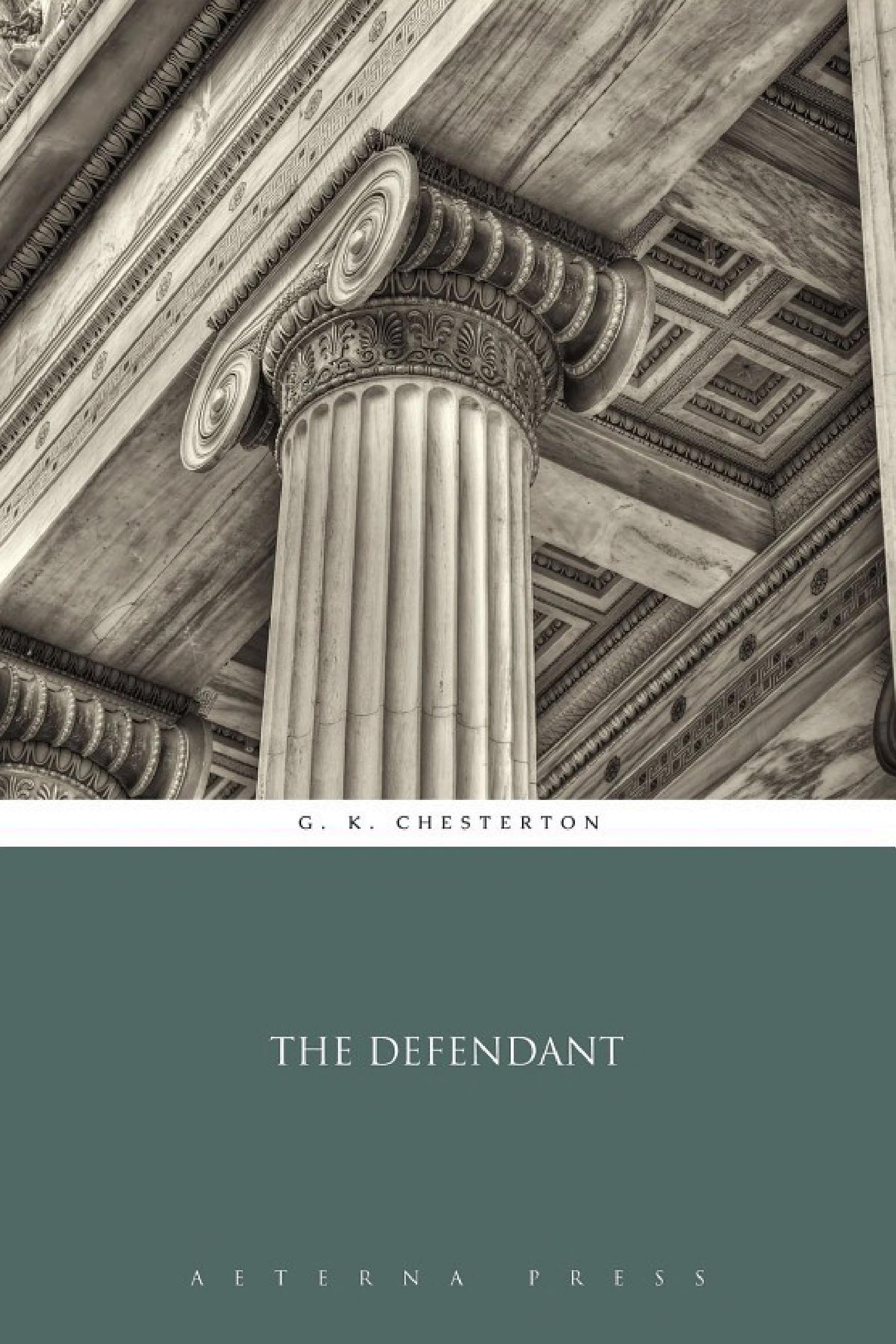 جلد کتاب The Defendant