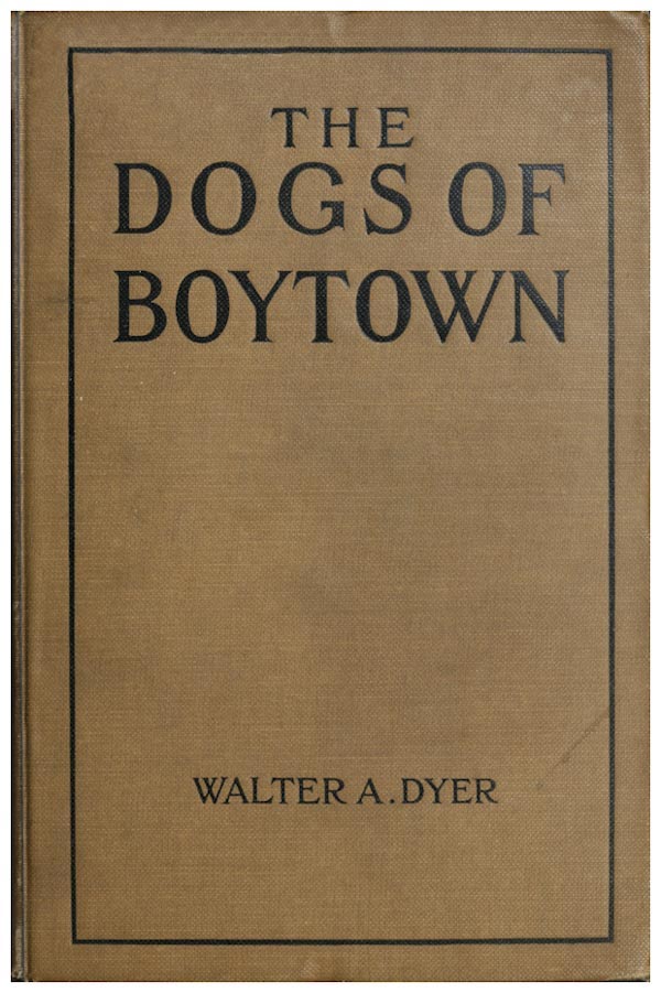 جلد کتاب The Dogs of Boytown