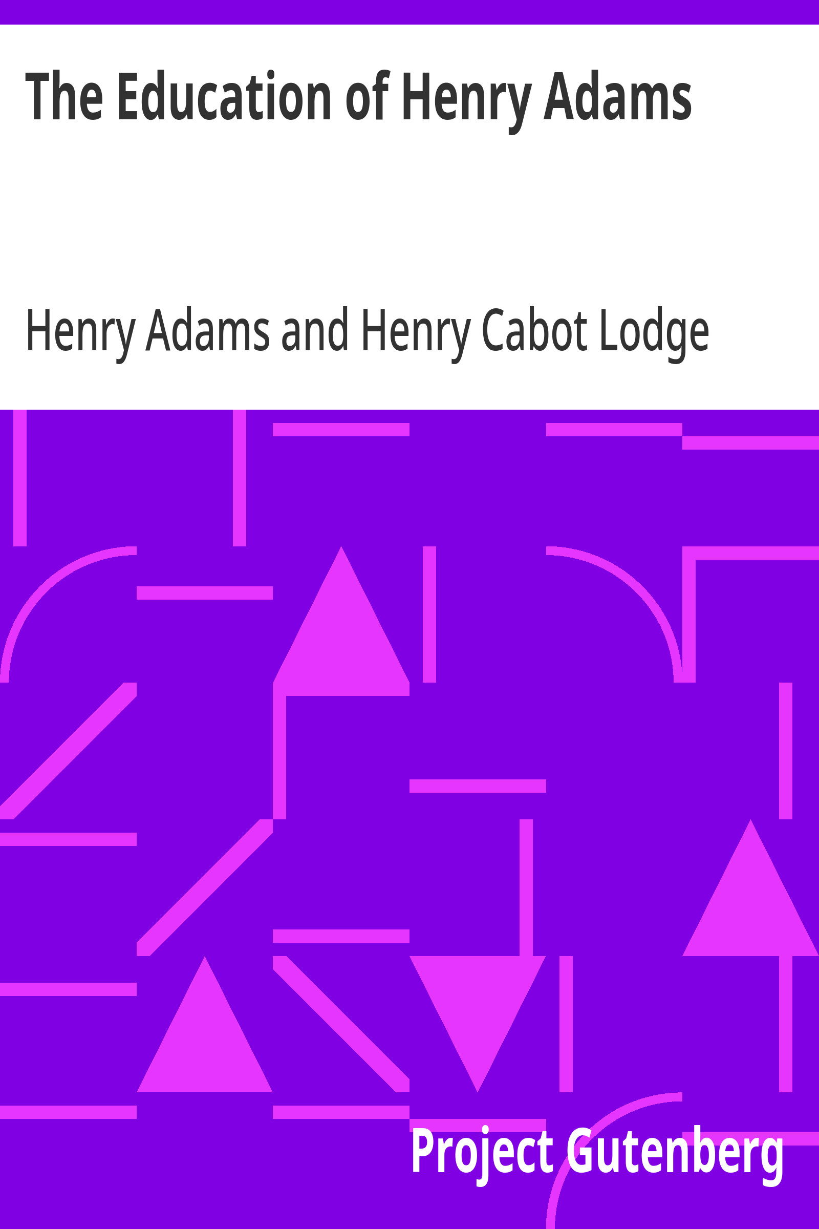 جلد کتاب The Education of Henry Adams