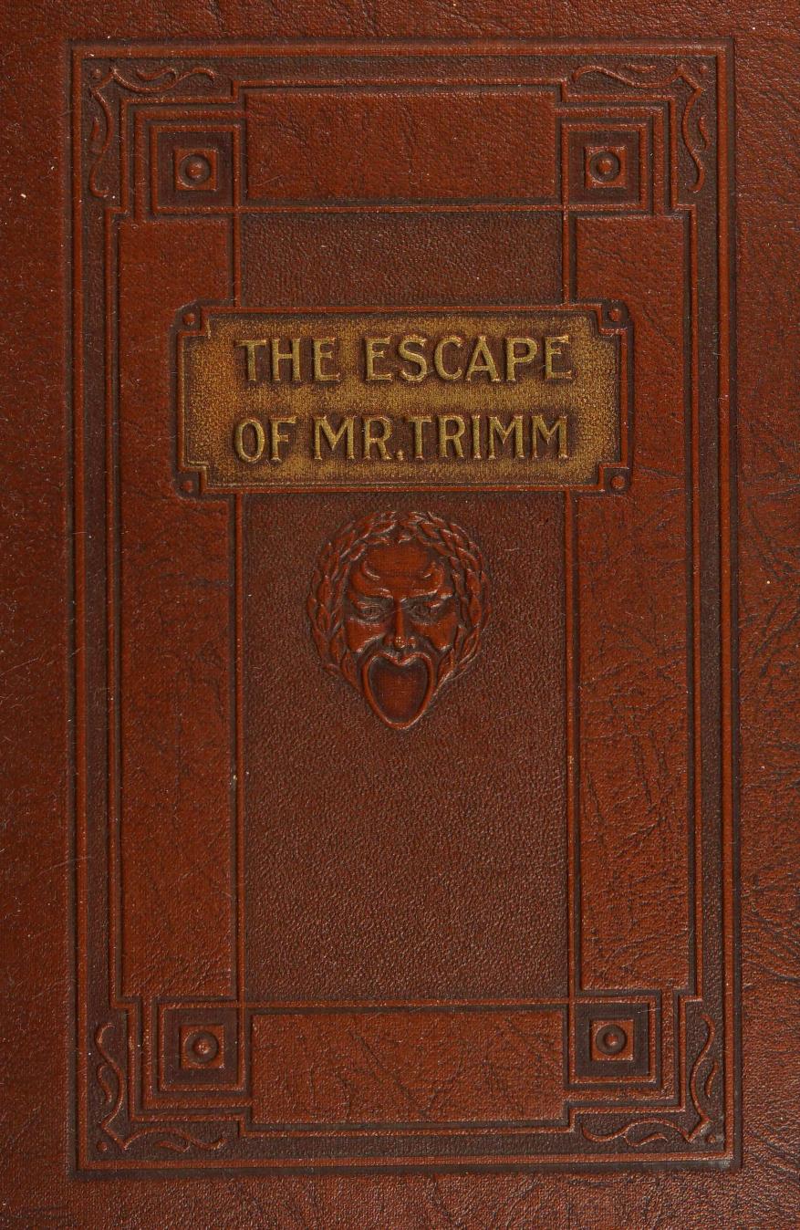 جلد کتاب The Escape of Mr. Trimm