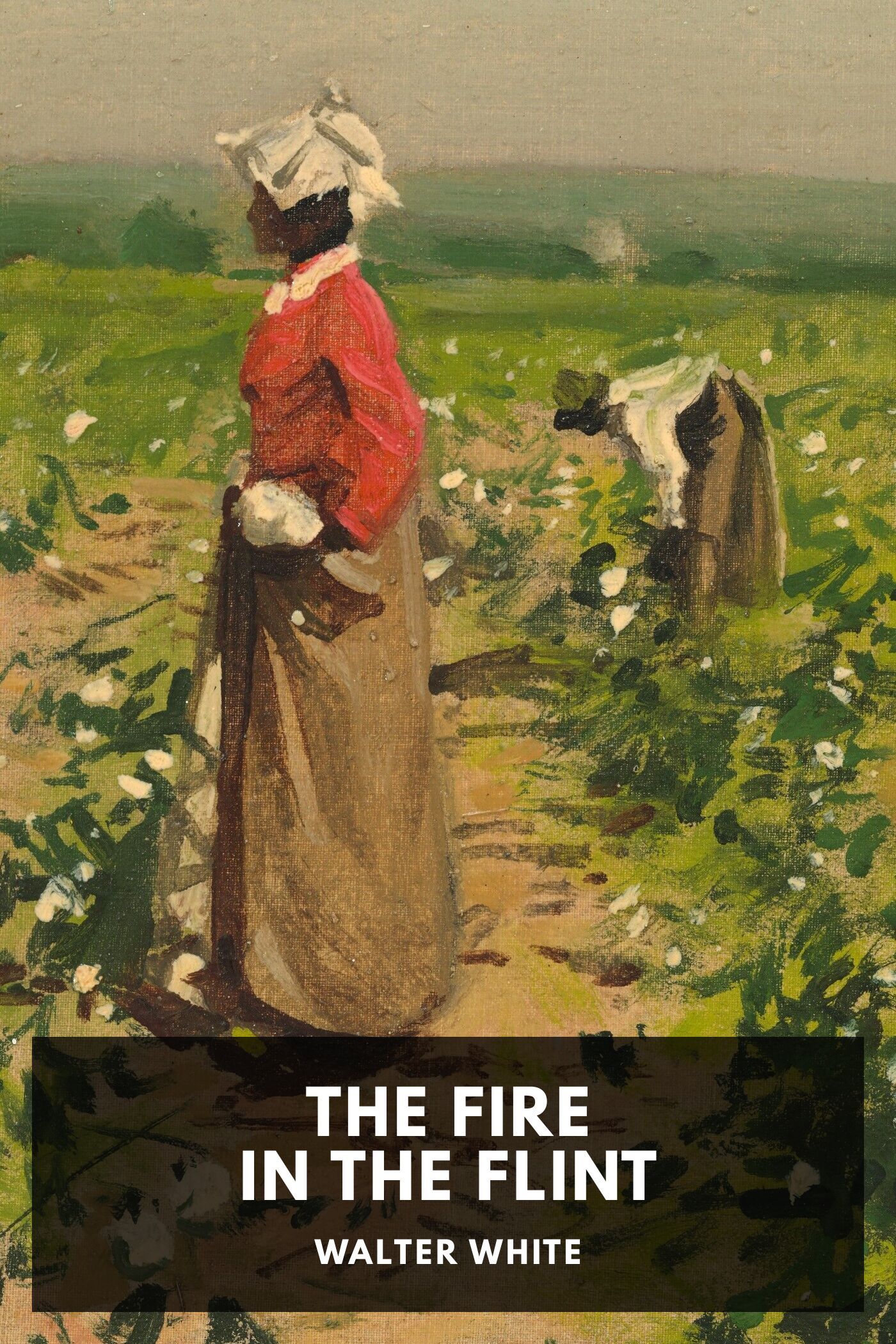 جلد کتاب The Fire in the Flint