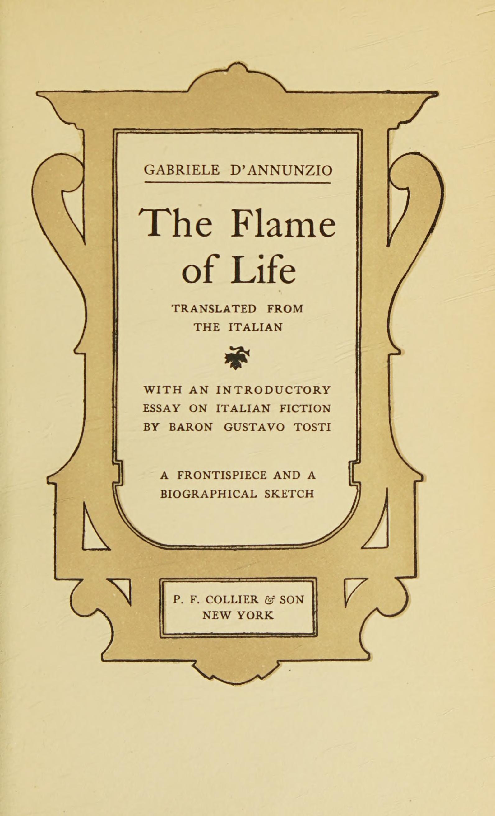 جلد کتاب The Flame