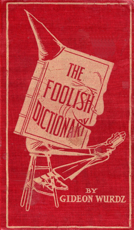 جلد کتاب The Foolish Dictionary