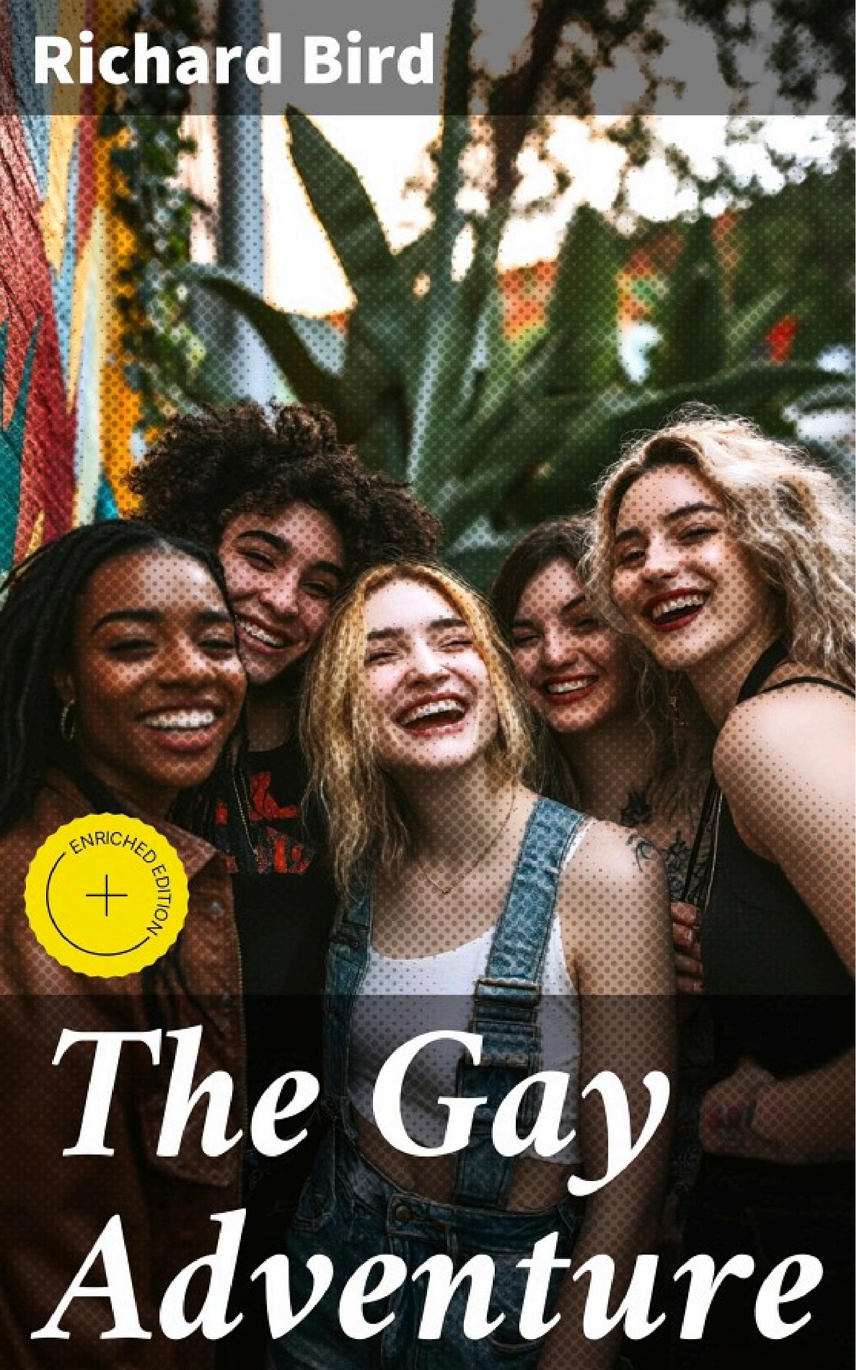 جلد کتاب The Gay Adventure