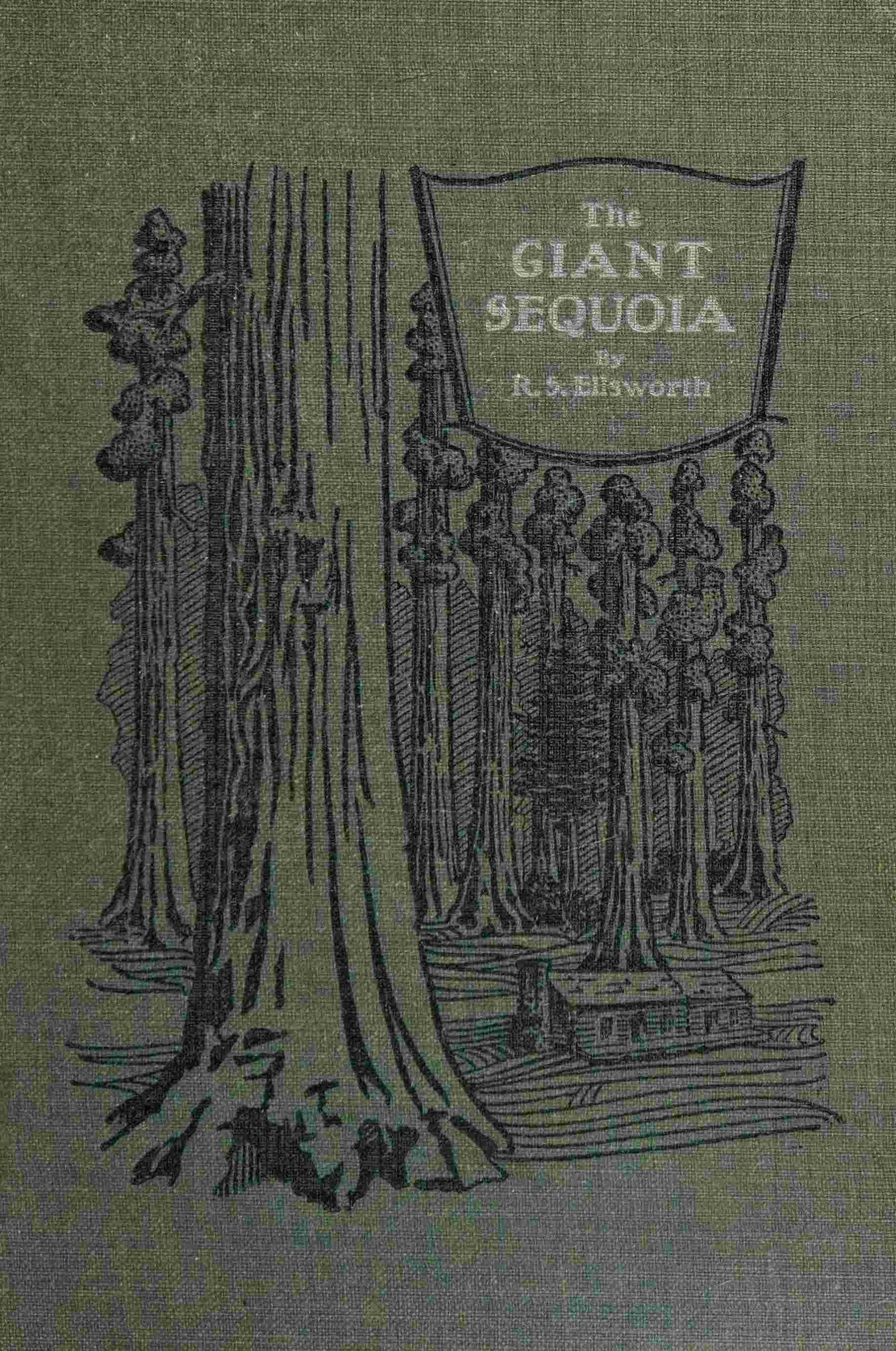 جلد کتاب The giant sequoia