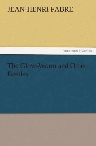 جلد کتاب The Glow-Worm and Other Beetles