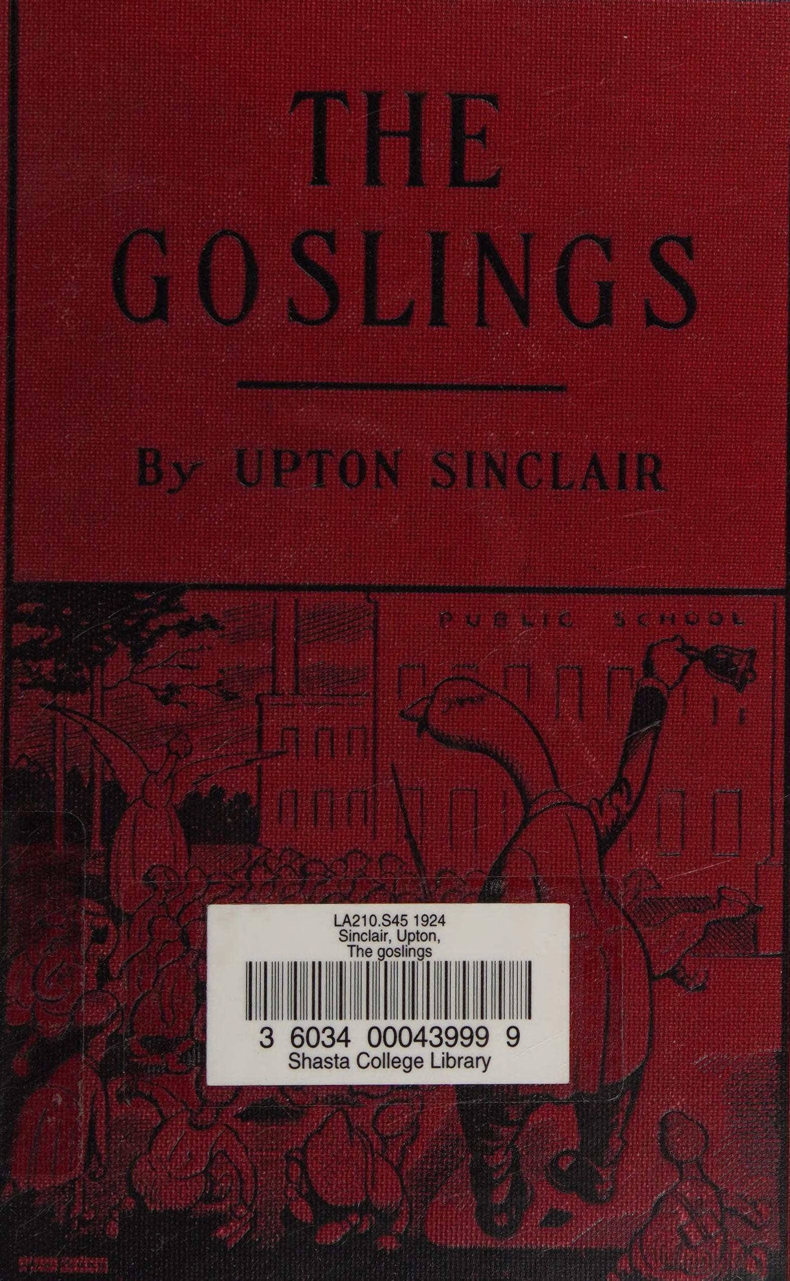جلد کتاب The Goslings: A Study of the American Schools