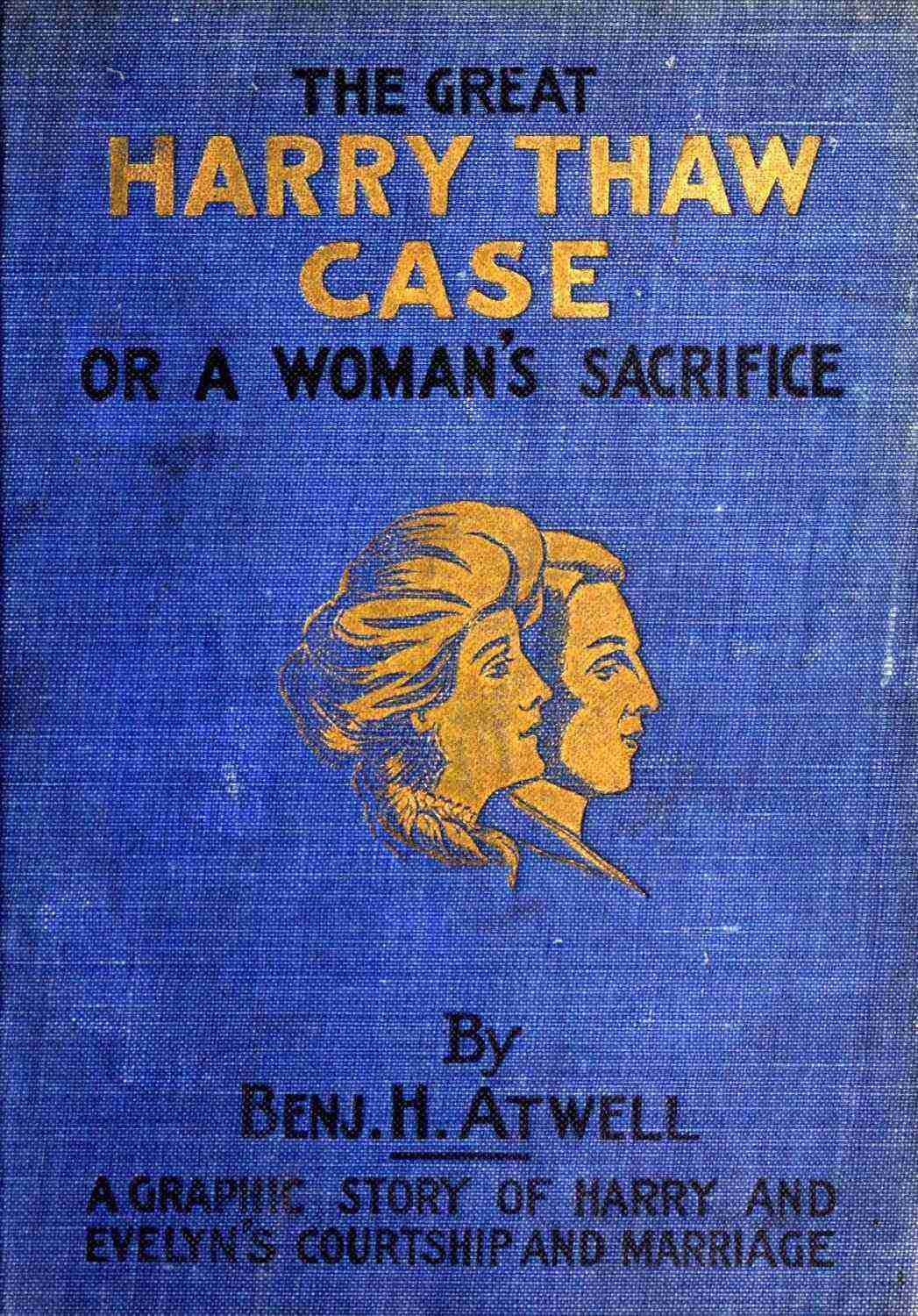 جلد کتاب The Great Harry Thaw Case; Or, A Woman's Sacrifice