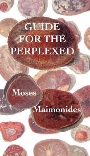 جلد کتاب The Guide for the Perplexed